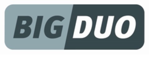 BIG DUO Logo (IGE, 01/09/2020)