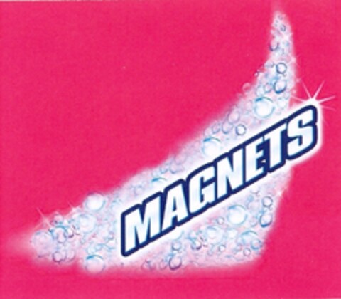 MAGNETS Logo (IGE, 05.03.2007)