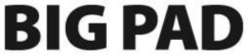 BIG PAD Logo (IGE, 16.05.2012)