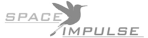 SPACE IMPULSE Logo (IGE, 12.02.2016)