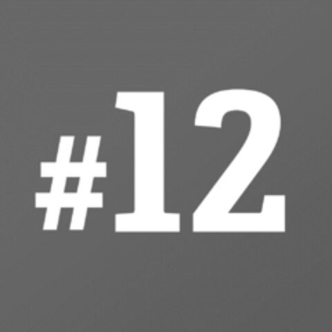 #12 Logo (IGE, 15.12.2015)