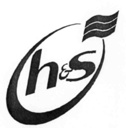 h&s Logo (IGE, 03/13/2000)