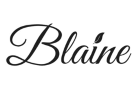 Blaine Logo (IGE, 30.04.2021)