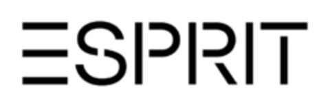 ESPRIT Logo (IGE, 12.10.2020)