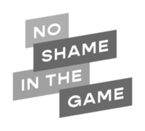NO SHAME IN THE GAME Logo (IGE, 04/16/2021)