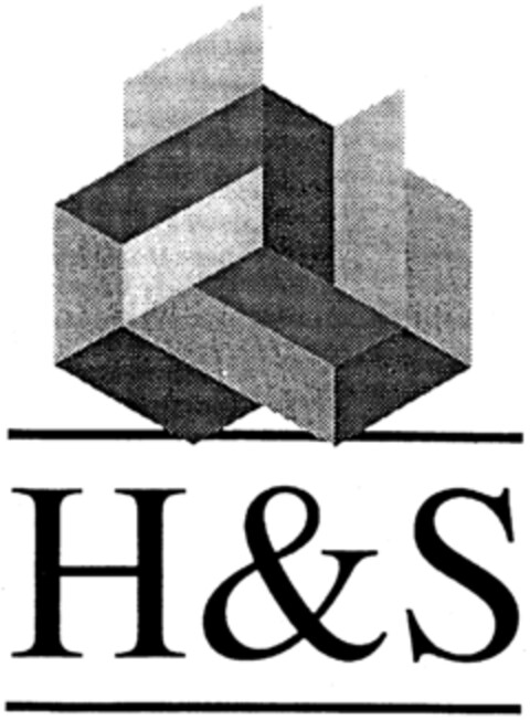 H & S Logo (IGE, 23.11.1998)