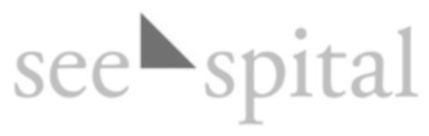 seespital Logo (IGE, 01.02.2013)