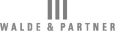 WALDE & PARTNER Logo (IGE, 26.06.2009)