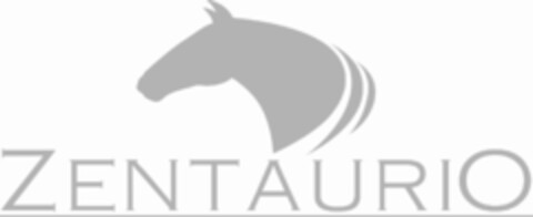 ZENTAURIO Logo (IGE, 22.06.2015)