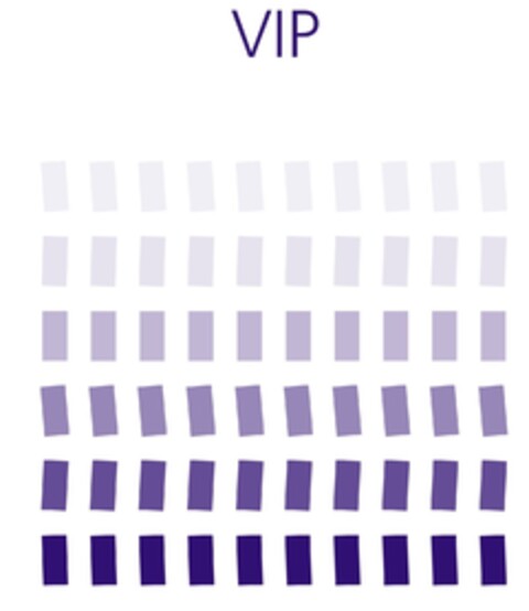 VIP Logo (IGE, 15.03.2010)