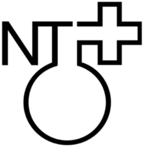 NT Logo (IGE, 04.07.2007)