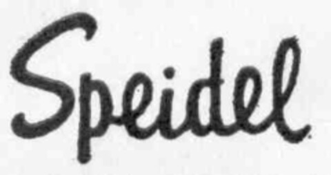 Speidel Logo (IGE, 17.01.1975)