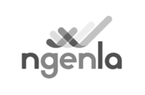 ngenla Logo (IGE, 15.02.2021)