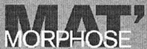 MAT'MORPHOSE Logo (IGE, 02/26/2010)