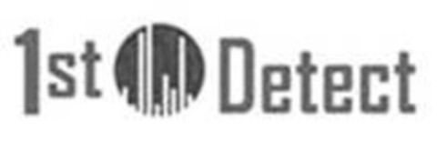 1st Detect Logo (IGE, 04.07.2013)