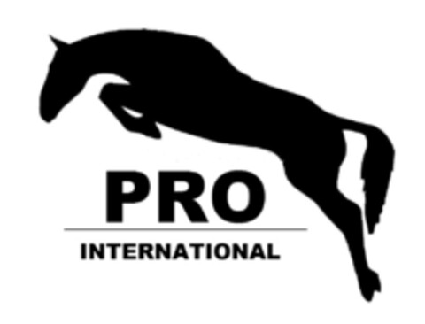 PRO INTERNATIONAL Logo (IGE, 08/09/2016)