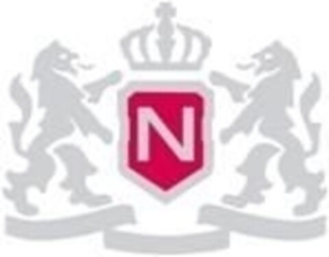 N Logo (IGE, 10/20/2010)