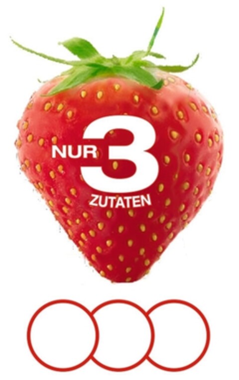 NUR 3 ZUTATEN Logo (IGE, 16.12.2014)
