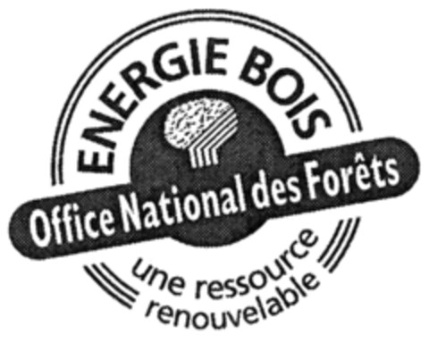 ENERGIE BOIS Office National des Forêts une ressource renouvelable Logo (IGE, 03/31/2009)