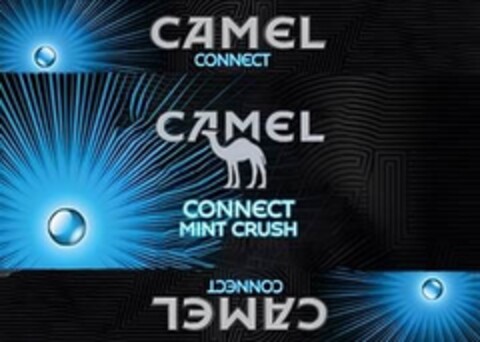 CAMEL CONNECT CAMEL CONNECT MINT CRUSH CAMEL CONNECT Logo (IGE, 01/30/2024)