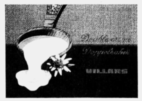 Doppelrahm VILLARS Logo (IGE, 30.05.1992)