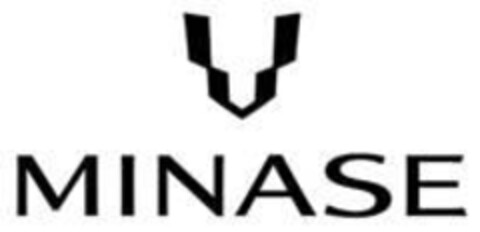 MINASE Logo (IGE, 07.02.2017)