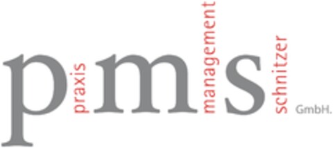 p praxis m management s Schnitzer GmbH. Logo (IGE, 10.10.2008)