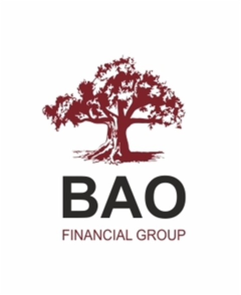 BAO FINANCIAL GROUP Logo (IGE, 14.08.2019)