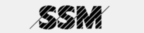 SSM Logo (IGE, 20.09.1995)