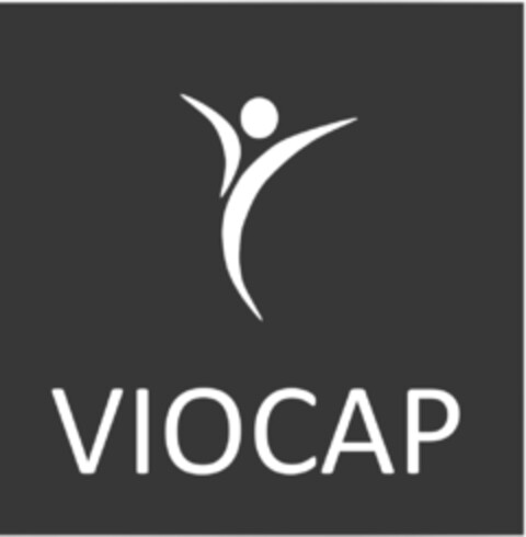 VIOCAP Logo (IGE, 09/10/2019)