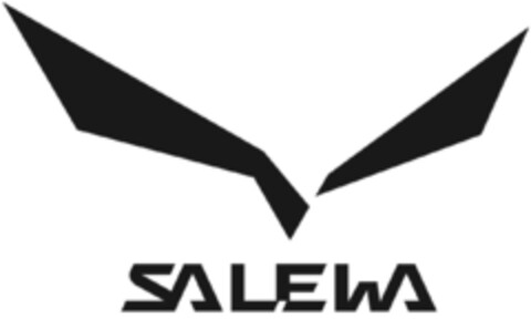 SALEWA Logo (IGE, 21.01.2013)