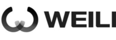 WEILI Logo (IGE, 15.06.2011)