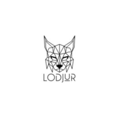 LODJUR Logo (IGE, 06.05.2020)