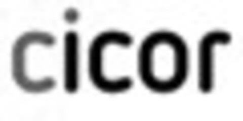 cicor Logo (IGE, 30.11.2023)