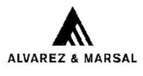 ALVAREZ & MARSAL Logo (IGE, 01.07.2005)