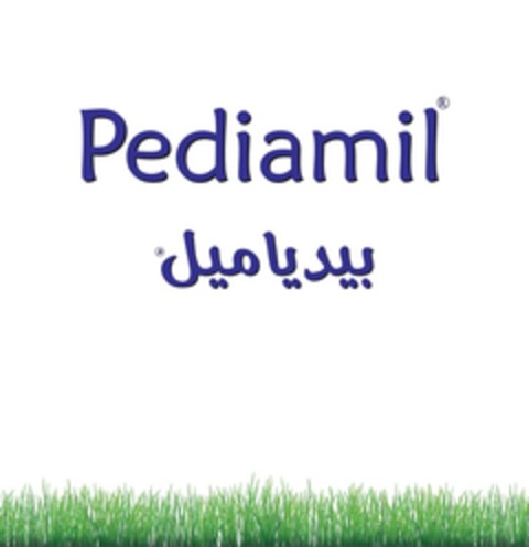 Pediamil Logo (IGE, 11.01.2024)