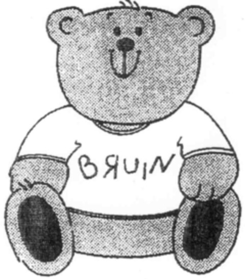 BRUIN Logo (IGE, 23.07.2001)