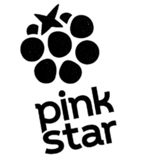 pink star Logo (IGE, 17.08.2023)