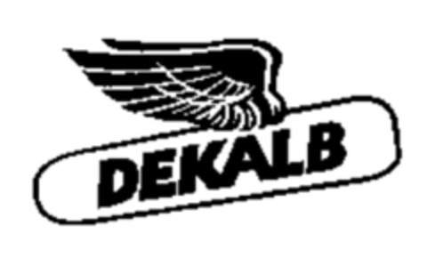 DEKALB Logo (IGE, 09.10.2003)