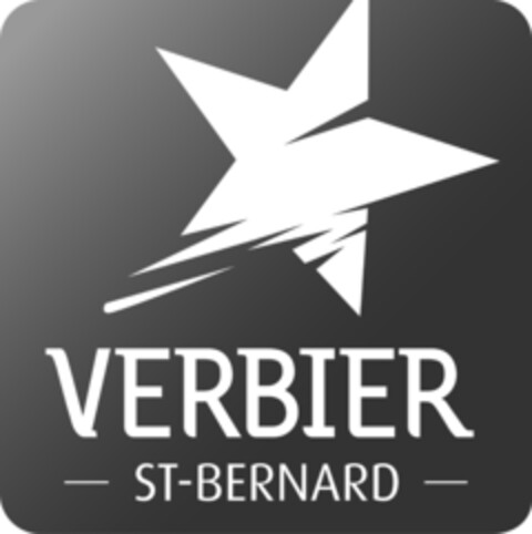 VERBIER - ST-BERNARD - Logo (IGE, 10/05/2009)