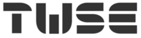 TWSE Logo (IGE, 27.08.2008)