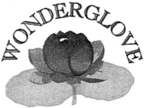 WONDERGLOVE Logo (IGE, 16.02.1998)