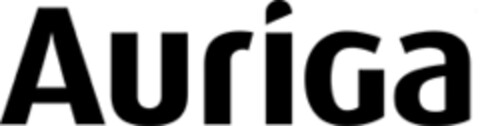 Auriga Logo (IGE, 12.02.2010)