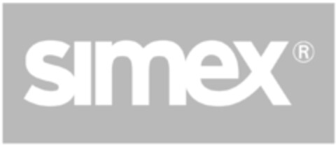 simex Logo (IGE, 06/26/2009)
