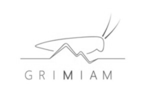 GRIMIAM Logo (IGE, 02.11.2013)