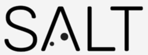 SALT Logo (IGE, 27.11.2018)