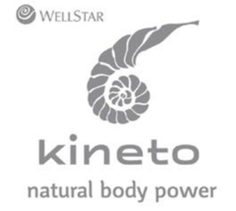 kineto natural body power WELLSTAR Logo (IGE, 07/09/2007)