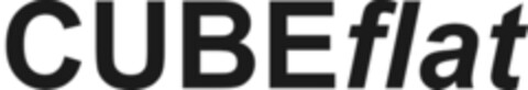 CUBEflat Logo (IGE, 05.07.2012)