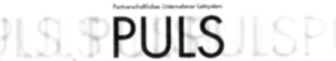 Partnerschaftliches Unternehmer-Leitsystem Puls Logo (IGE, 25.09.2002)