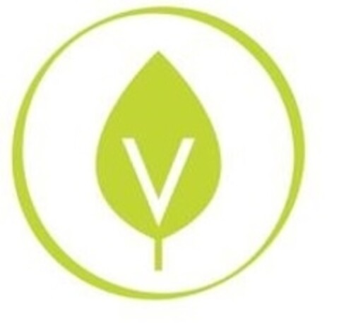 V Logo (IGE, 31.07.2020)